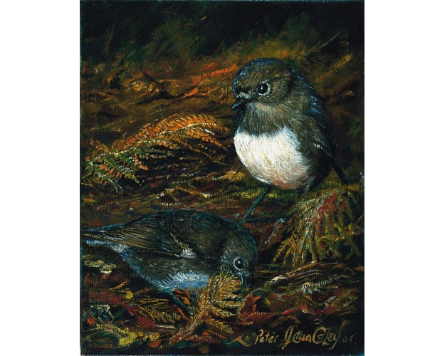 Pair of Robins