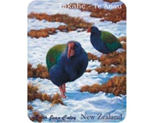 Fridge Magnet - Takahe - Te Anau