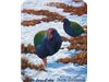 Fridge Magnet - Takahe - Te Anau
