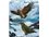 Fridge Magnet - Kea's Arrival