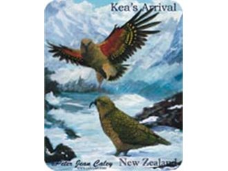 Fridge Magnet - Kea's Arrival