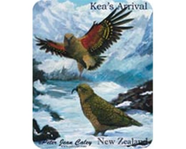 Fridge Magnet - Kea's Arrival