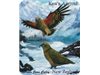 Fridge Magnet - Kea's Arrival