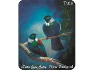 Fridge Magnet - Tui