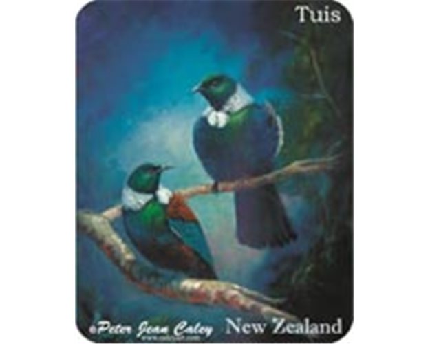 Fridge Magnet - Tui
