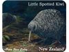 Fridge Magnet - Little Spotted Kiwi