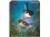Fridge Magnet - Saddlebacks Tieke New Zealand